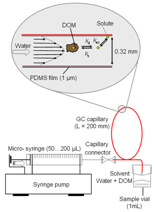 DOM scheme   figure: F.-D. Kopinke / UFZ